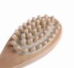 Bath / Body / Massage Brush