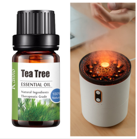 Pure Essential Oil 10ml (Option: Tea tree-Set)